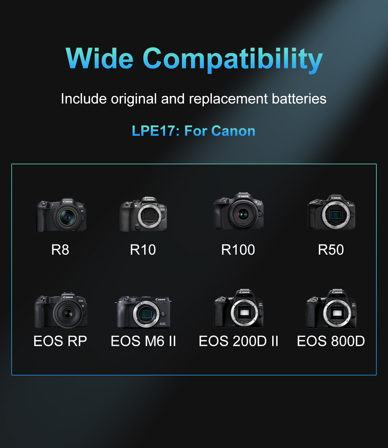 20W USB-C PD Dual Slot-oplader - Canon Camera Eos R50 recensie en prijs